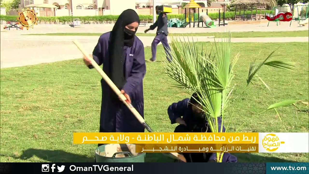 ربط مباشر من ولاية صحم  بمحافظة شمال الباطنة حول تقنيات الزراعة ومبادرة التشجير بولاية صحم