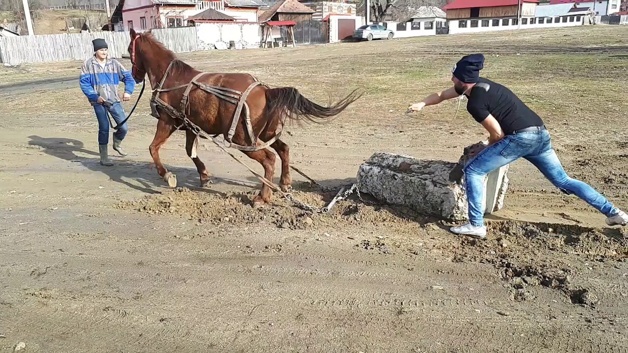 Cai de tractiune 2018