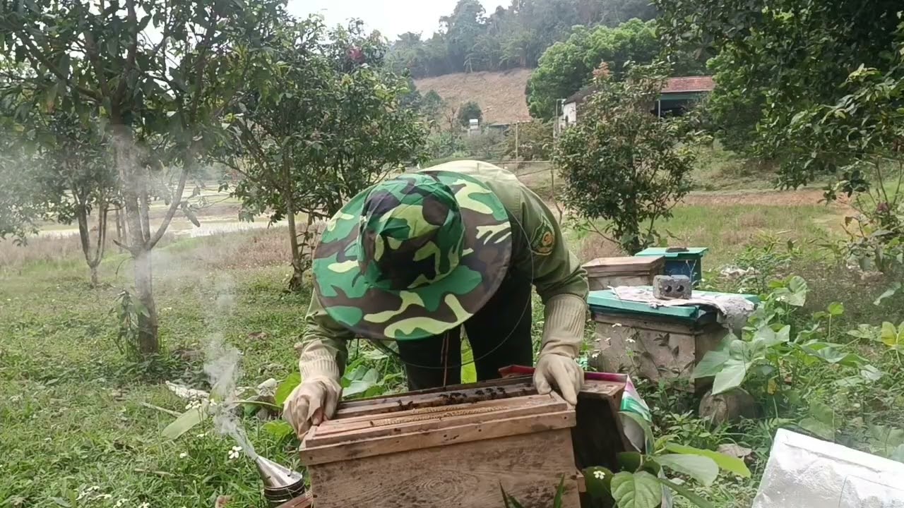 Phải làm như thế này ong mới OK được 