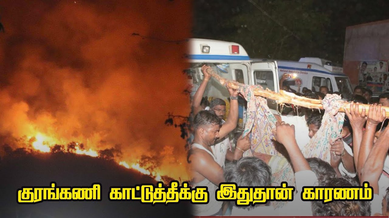 Kurangani Forest Fire : Reason behind the forest fire ?
