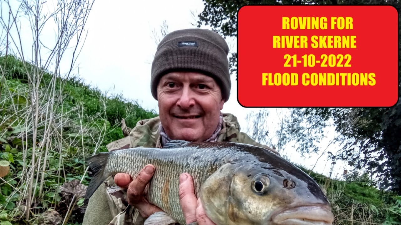 Roving For Flooded River Skerne Chub 21 10 2022