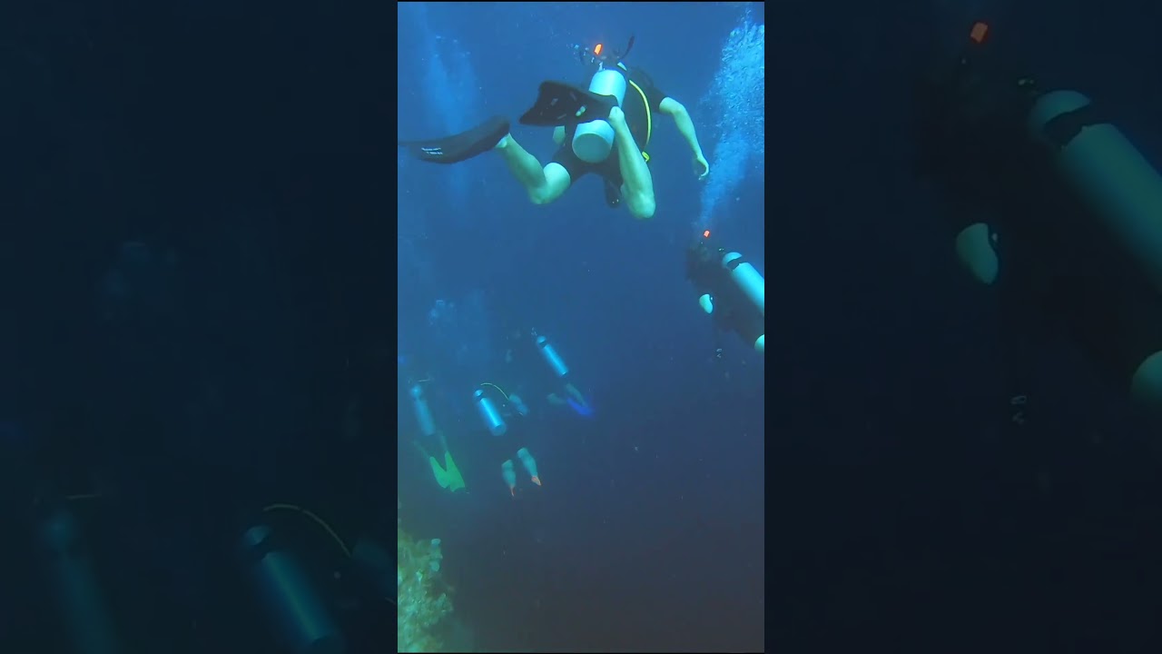 Diving deep in the Blue Hole in BELIZE!