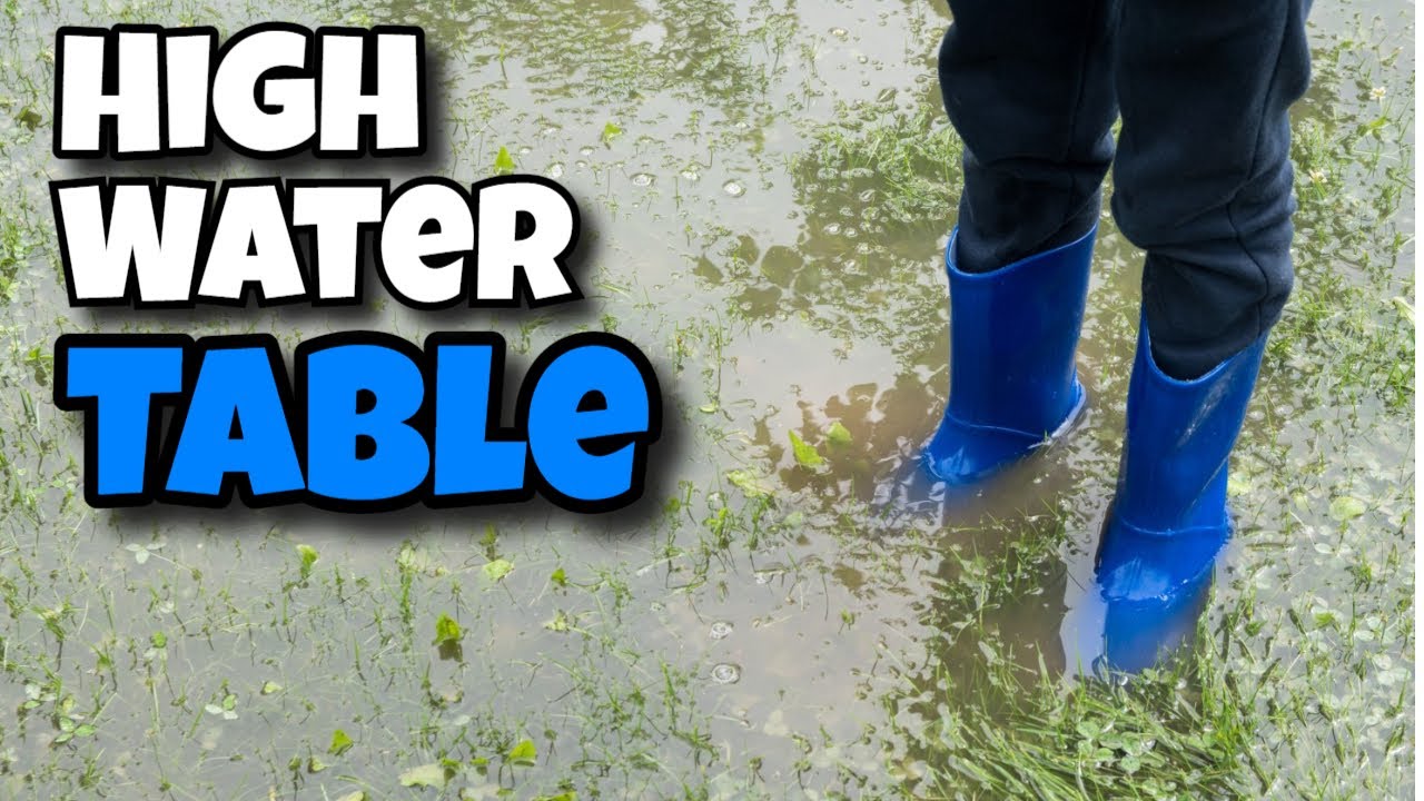 septic tank high water table