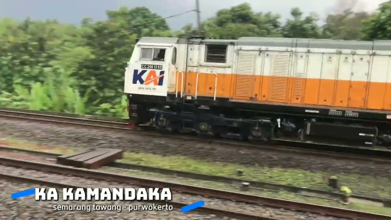 KERETA API PANJANG ‼️ MENEMUKAN 20 KERETA API NGEBUT DI TIKUNGAN