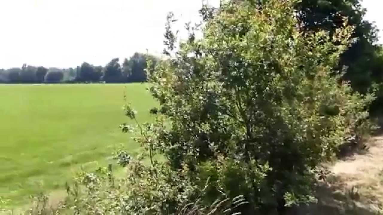 Bellingwolde en haar omgeving