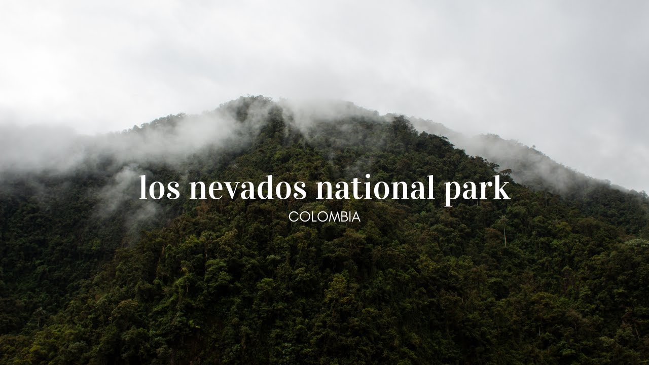 Exploring Los Nevados National Park in Colombia | Cinematic Travel Film