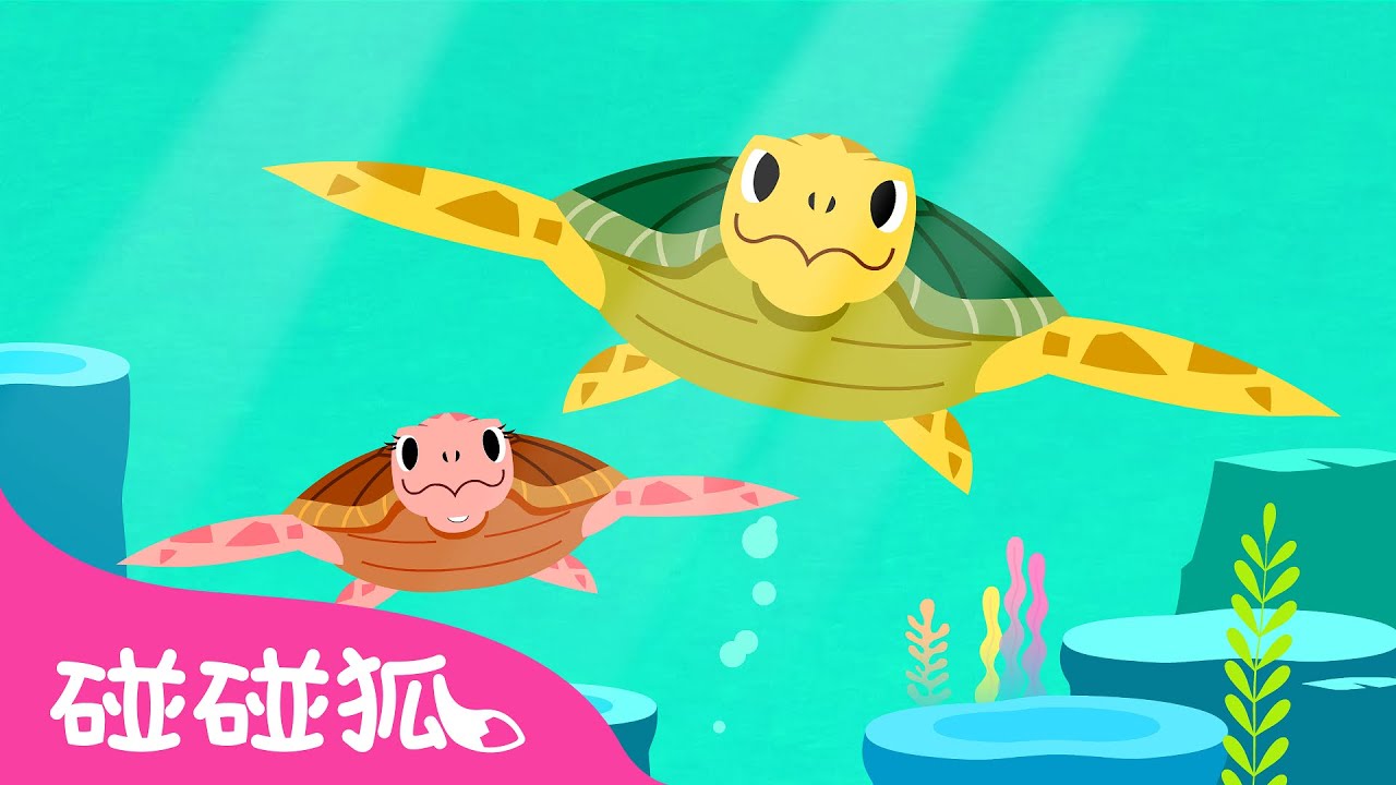 海龜 🐢  | 認識海洋動物 | 海洋動物兒歌 | 臺灣配音 | 鯊魚寶寶 兒歌 童謠 | Baby Shark l Kids Song l Nursery Rhymes | 碰碰狐 Pinkfong