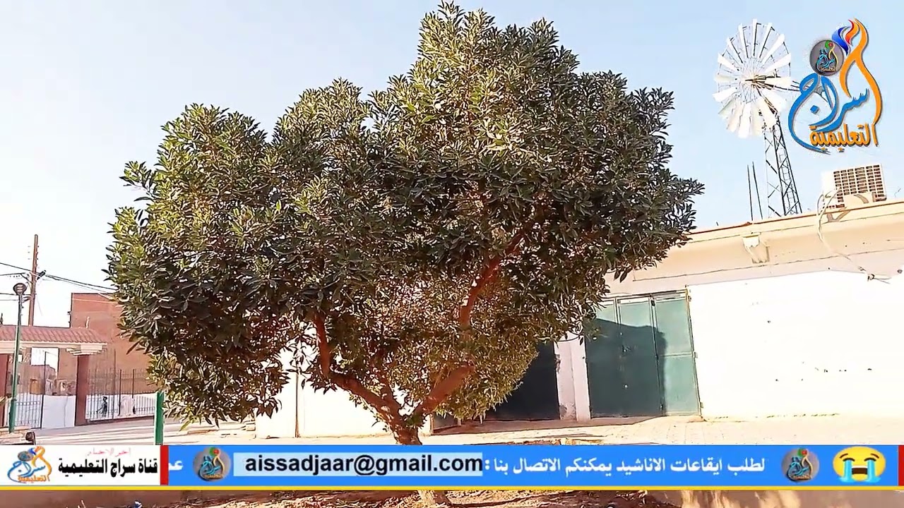 جولة في مدينة حاسي بحبح ولاية الجلفة