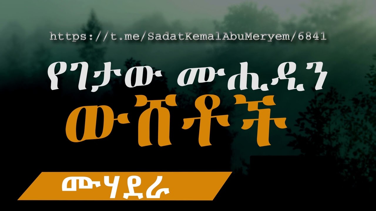 የገታው ሙሒዲን ውሸቶች