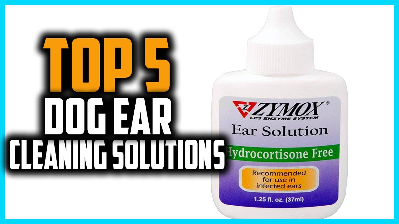 ✅Top 5 Best Dog Ear Cleaning Solutions in 2025