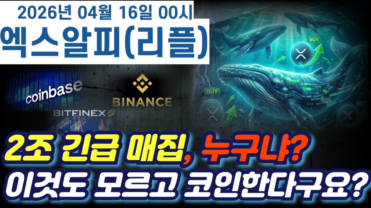 [엑스알피] 2조 긴급매집 대체 누구냐? 이것도 모르고 코인한다구요? 지금은 이게 가장 중요합니다 #엑스알피 #리플 #xrp #xrp심훈 #리플분석 #리플심훈 #엑스알피심훈