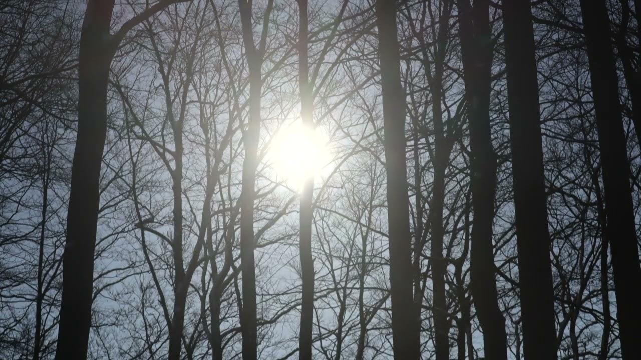 Dalby møllebæk gåtur lørdag 14 februar 2026 film