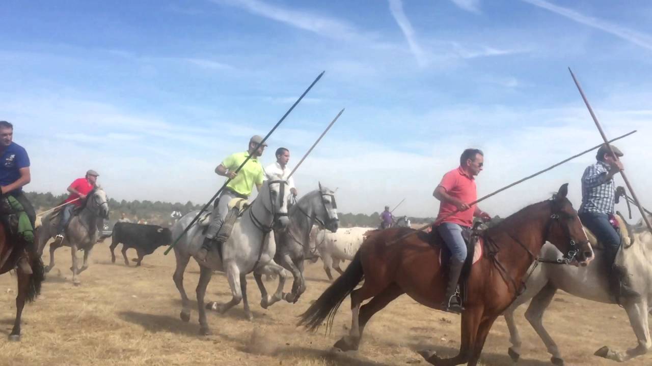 Encierro Freineda 10 09 2016