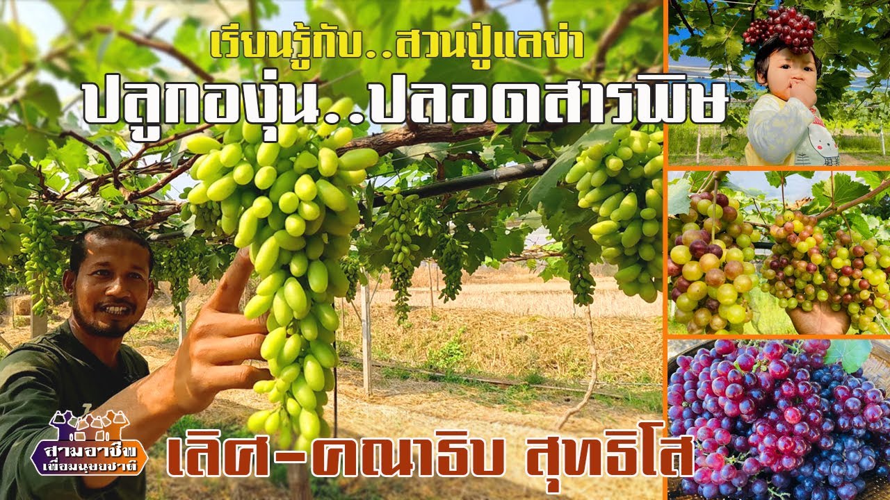 เรียนรู้กับ..สวนปู่แลย่า 