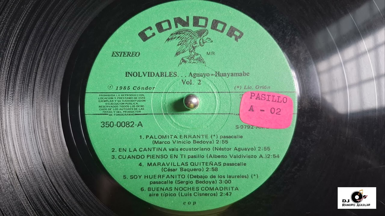 Dúo Aguayo Huayamabe - Soy huerfanito #Pasacalle #1985 #músicaecuatoriana #pasacalles