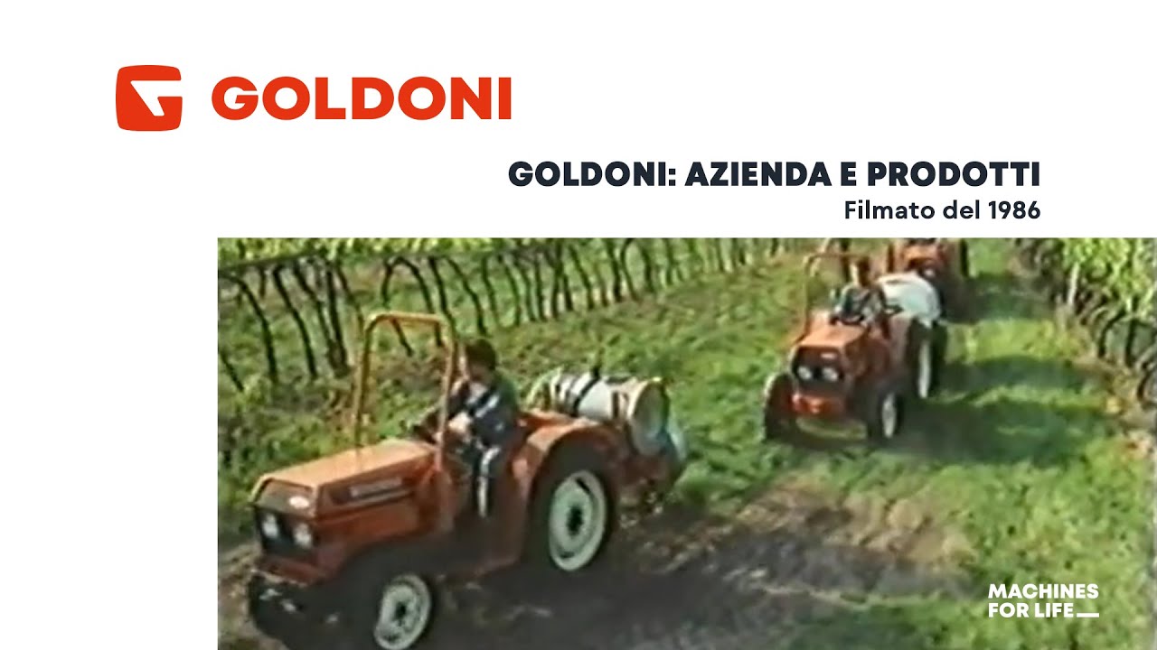 La storia della Goldoni (1986)