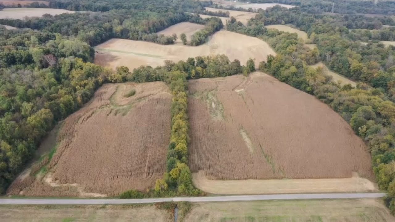 📢 Absolute Real Estate Auction - 115 Acres in 5 Farms in Farmington, KY