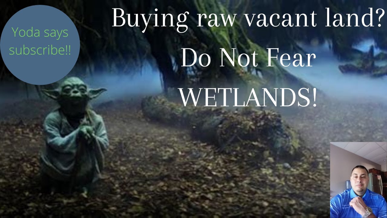 Do Not Fear Wetlands when buying raw vacant land!  Here is why....