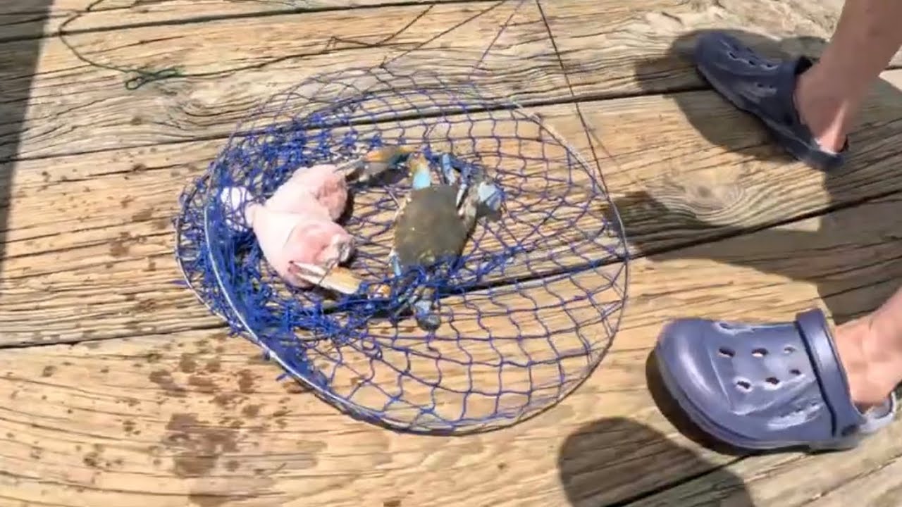 Fishing and Crabbing with The Family in Kemah Tx part 2.