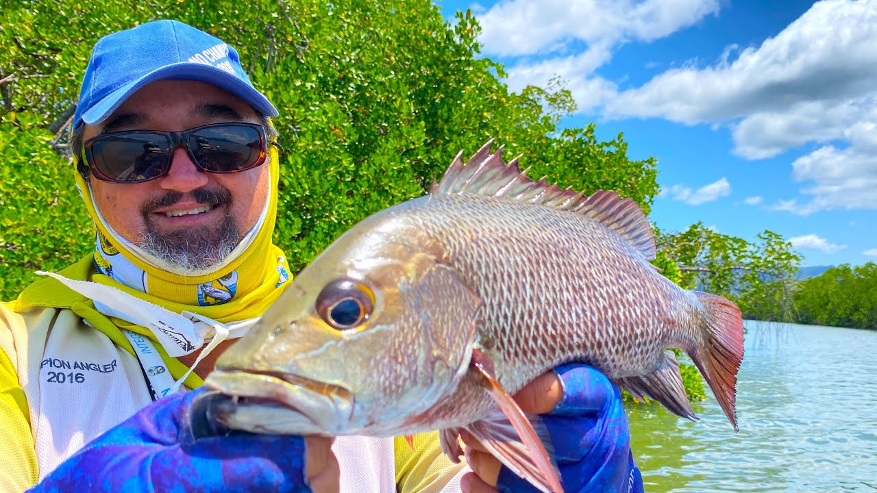 Skip Casting Big Mangrove Jack... Rigging & Casting Tips