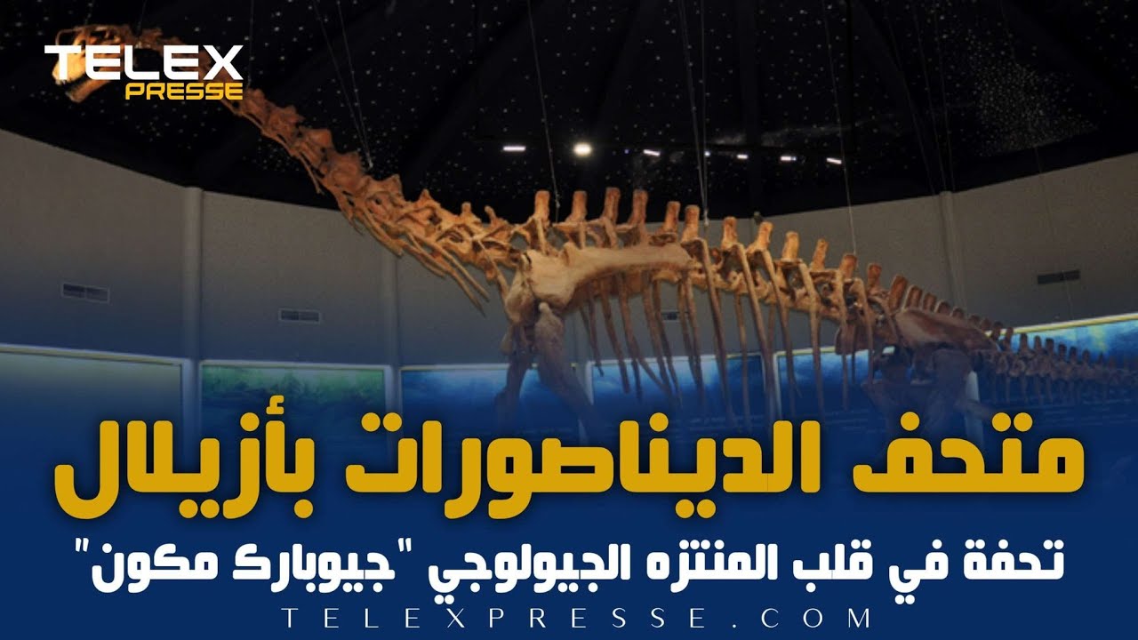 متحف الديناصورات بأزيلال.. تحفة في قلب المنتزه الجيولوجي &ldquo;جيوبارك مكون&rdquo;