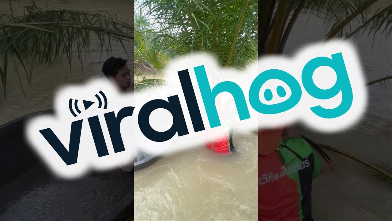 Two Guys Help Rescue Dog Trapped in Flood Waters by Chain || ViralHog