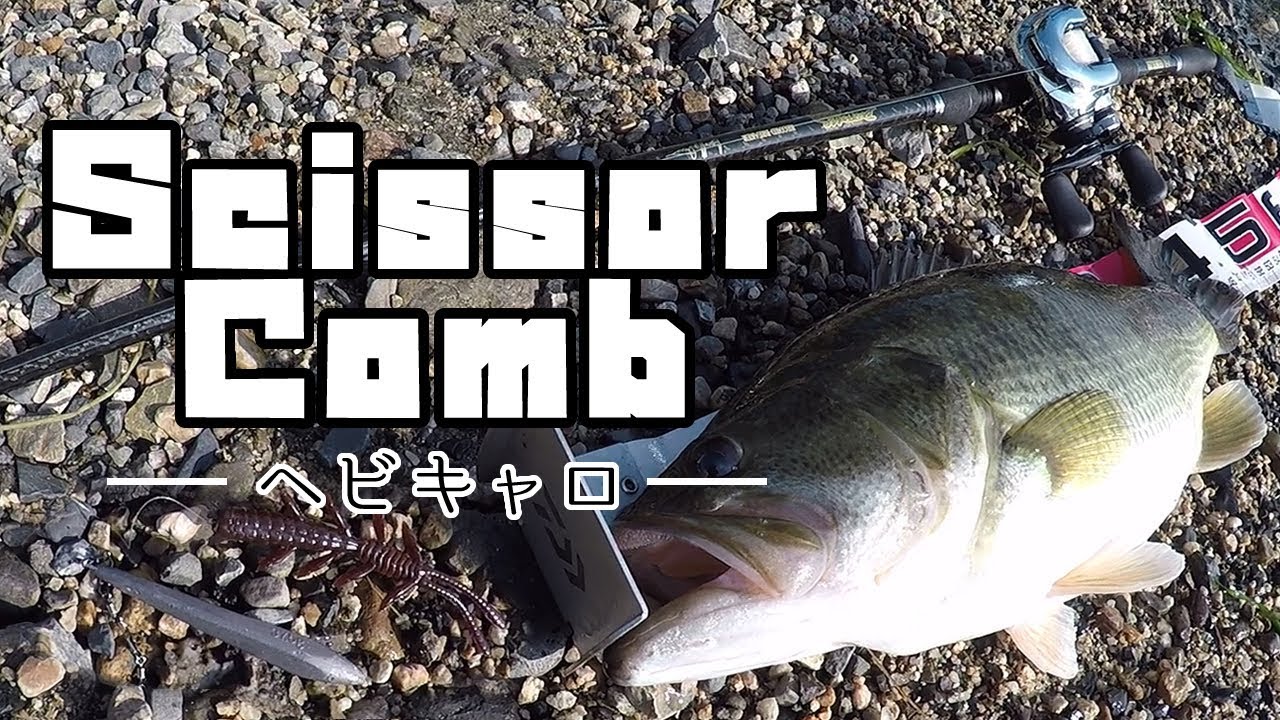 ヘビキャロで釣れるワームのおすすめ【シザーコーム】