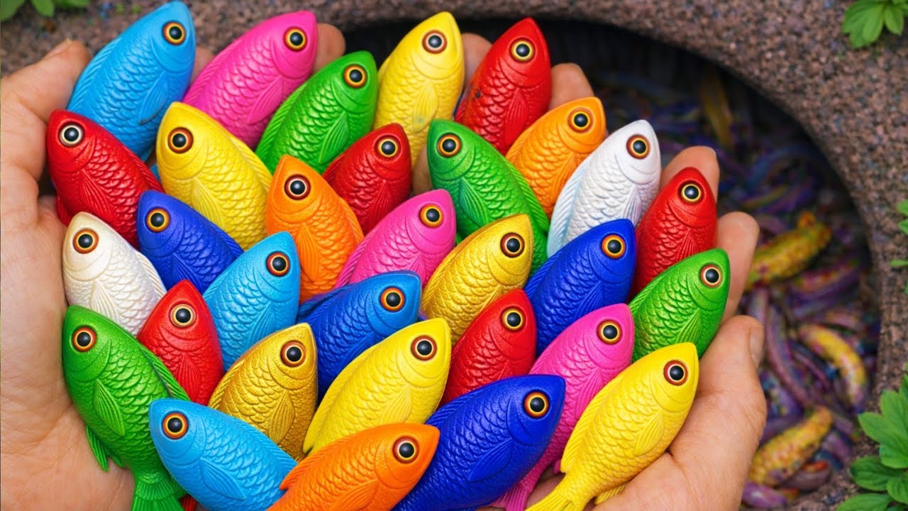 Catch Colorful Aquarium Fish in Giant Colorful Egg, Tiger Tetra, Pencil Fish, Eel, Baby Turtle,Koi