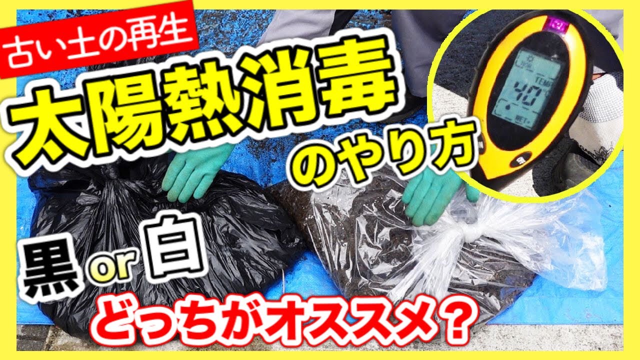 【古い土の再生】太陽熱消毒のやり方！「黒い袋」「白い袋」どっちがオススメ？