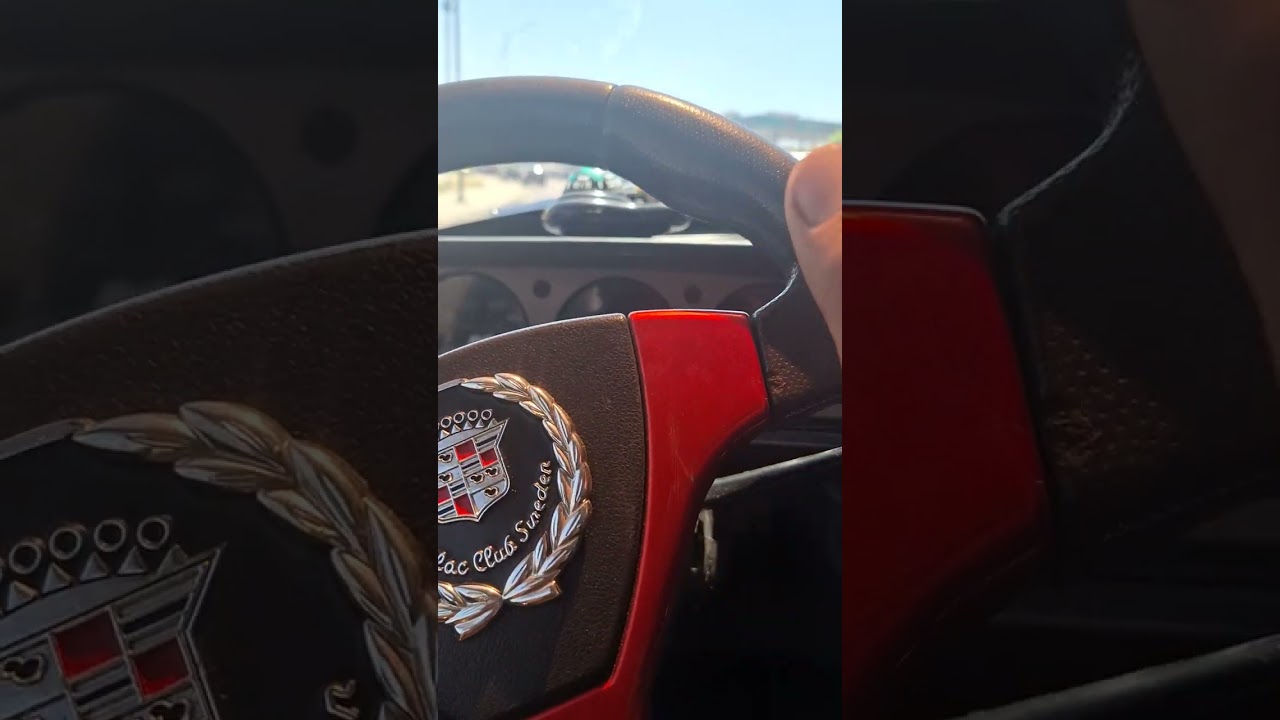 مساء الورد على الغاليين. الاسطي(#مونا_بيجو )٠١٢٢١٥٩٥٣٣٣