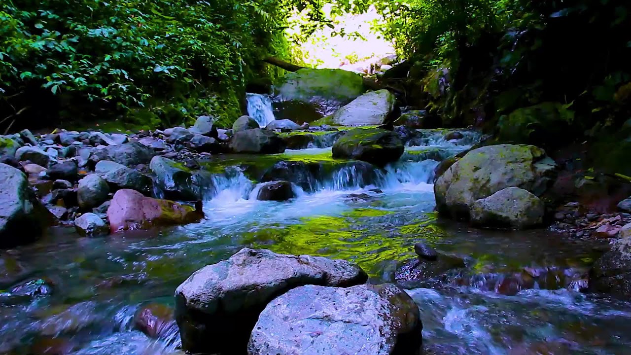 Improve Focus with Mountain River Flowing Sounds, Calm Natural White Noise