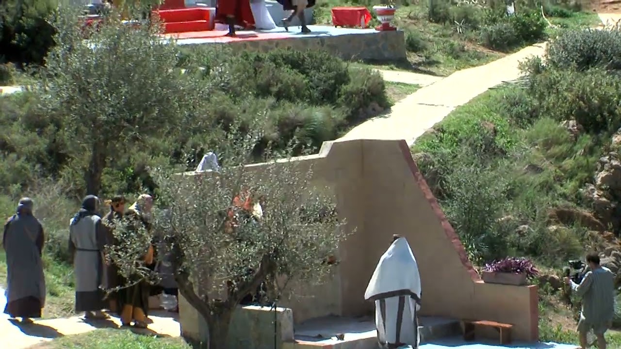 004   EL PASO DE BENALMADENA 2022   02