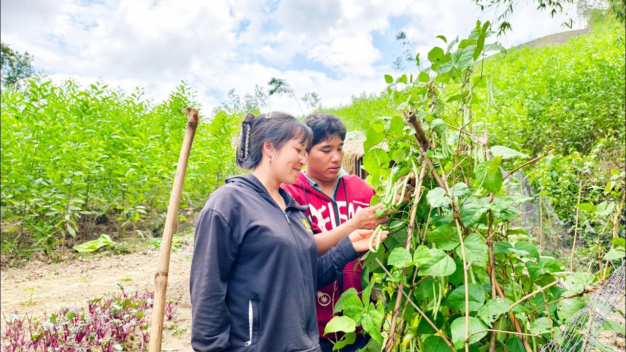 “Vê La and Her Husband Returned to the Garden… And Something Unexpected Happened!”