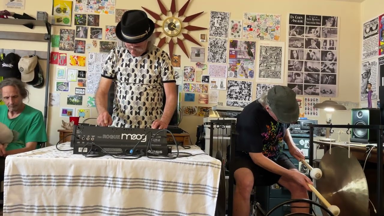 The Brothers McGee at Apartment Music 60 - Moog Rogue + Gongs