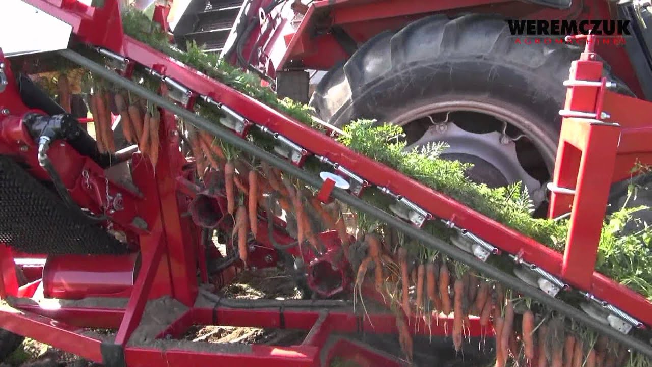 ALINA SUPERNOVA - kombajn do zbioru marchwi, carrot harvester