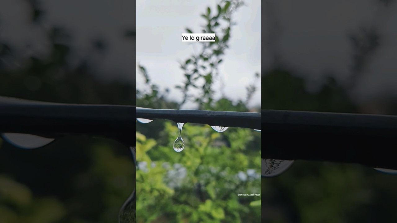 Rain Drops | Slow Motion Video #shorts #rain #youtubeshorts