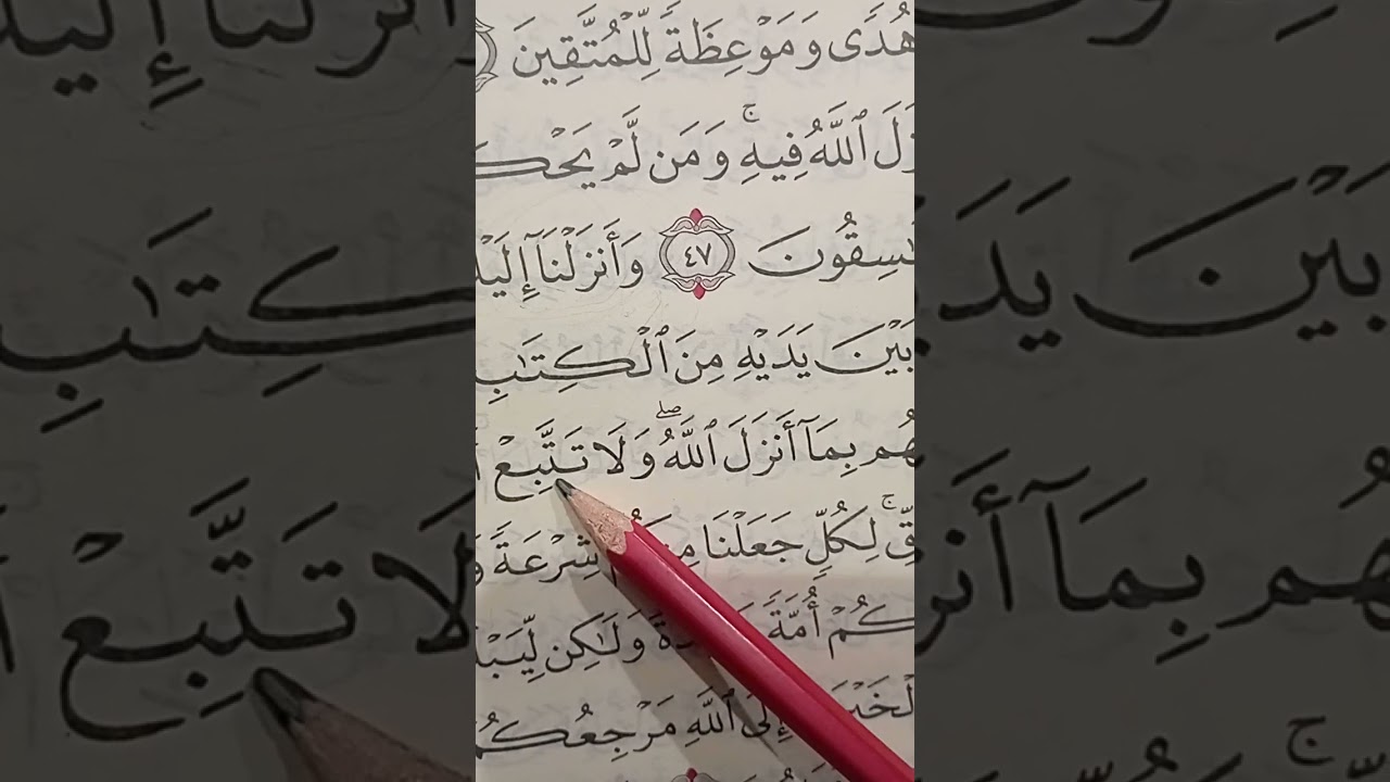 كل الأحكام تقريبا متجمعة في أية بسورة المائدة