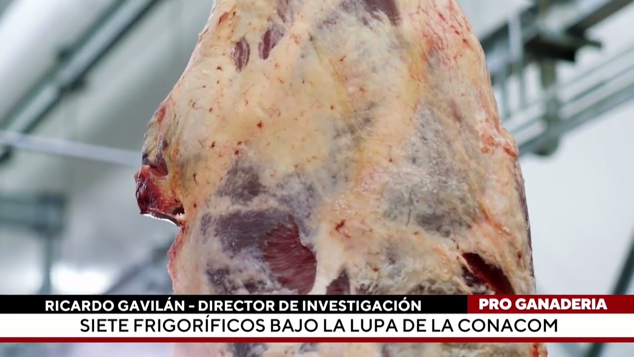 Siete frigoríficos bajo la lupa de la Conacom