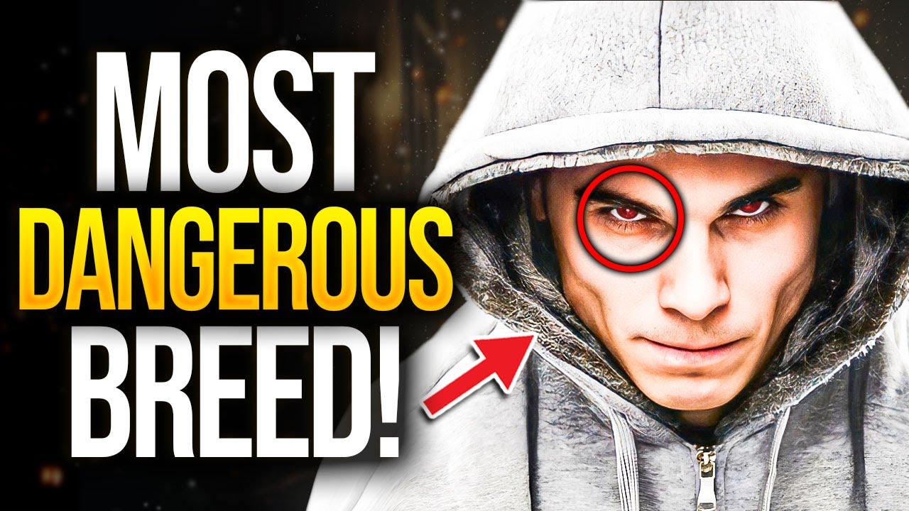 Why Sigma Males Are More Dangerous Than You Think
