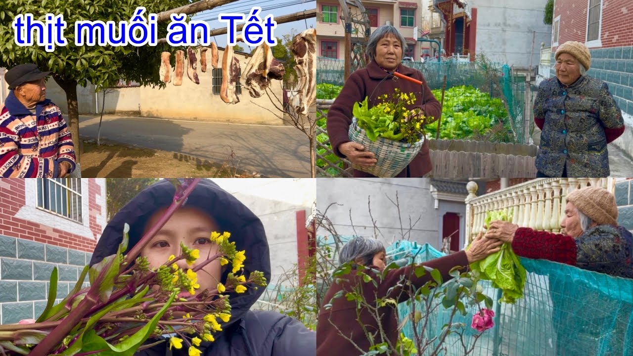 [1109]Sau 1Tháng Ở Cử_Hôm Nay 2Mẹ Con Lại Tiếp Tục Đi Hái Cải Ngồng.