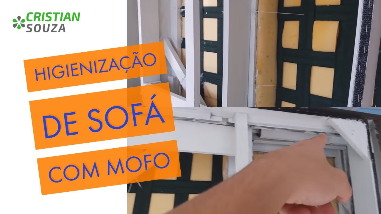 Limpeza de Sofá Com Mofo - Dica Profissional Para Limpeza de Estofados