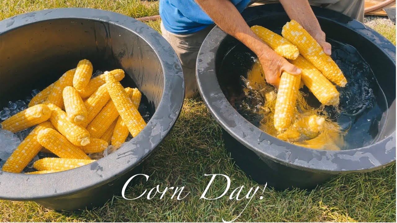 Preserving Corn | 3 Generations Preserve a Year's Supply