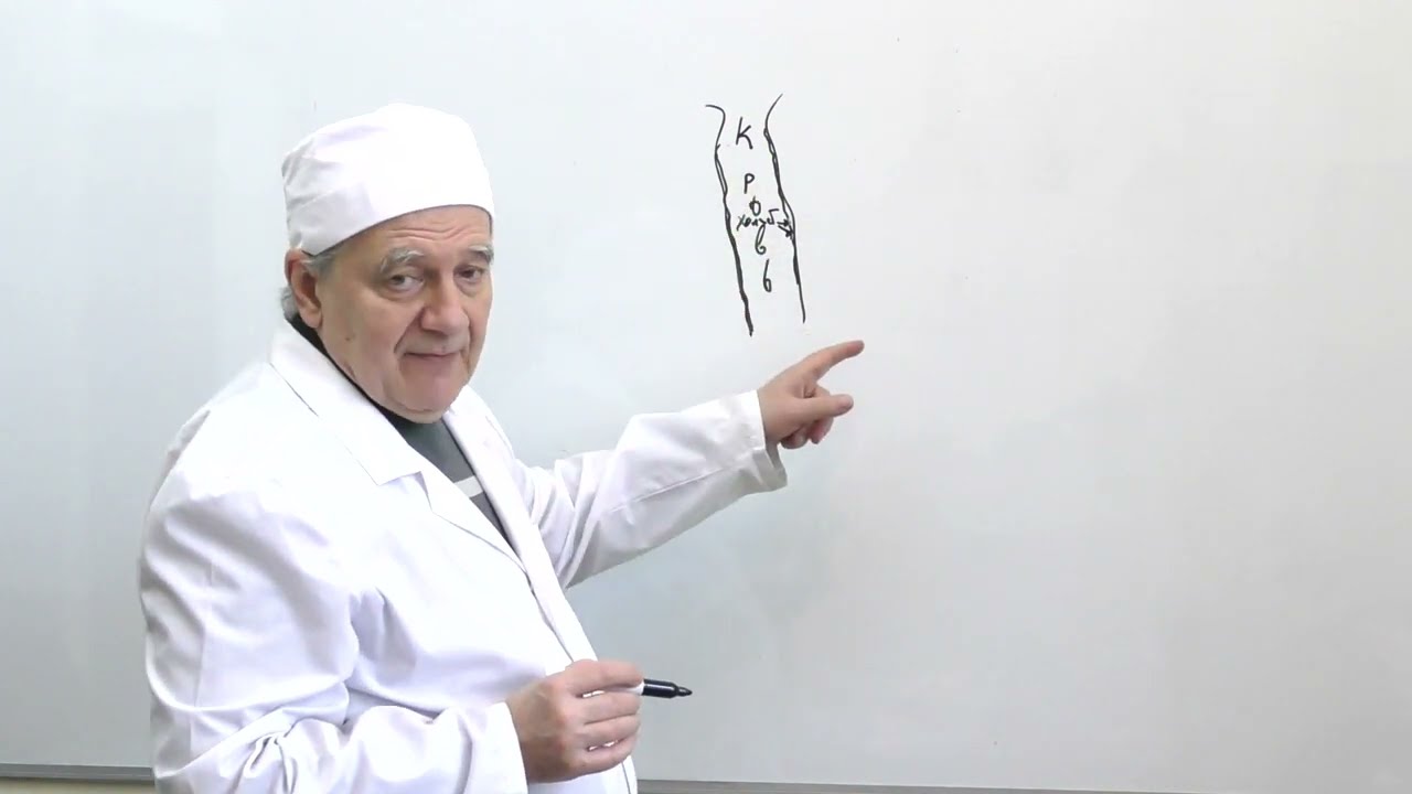 Профилактика склероза (Алименко А.Н.