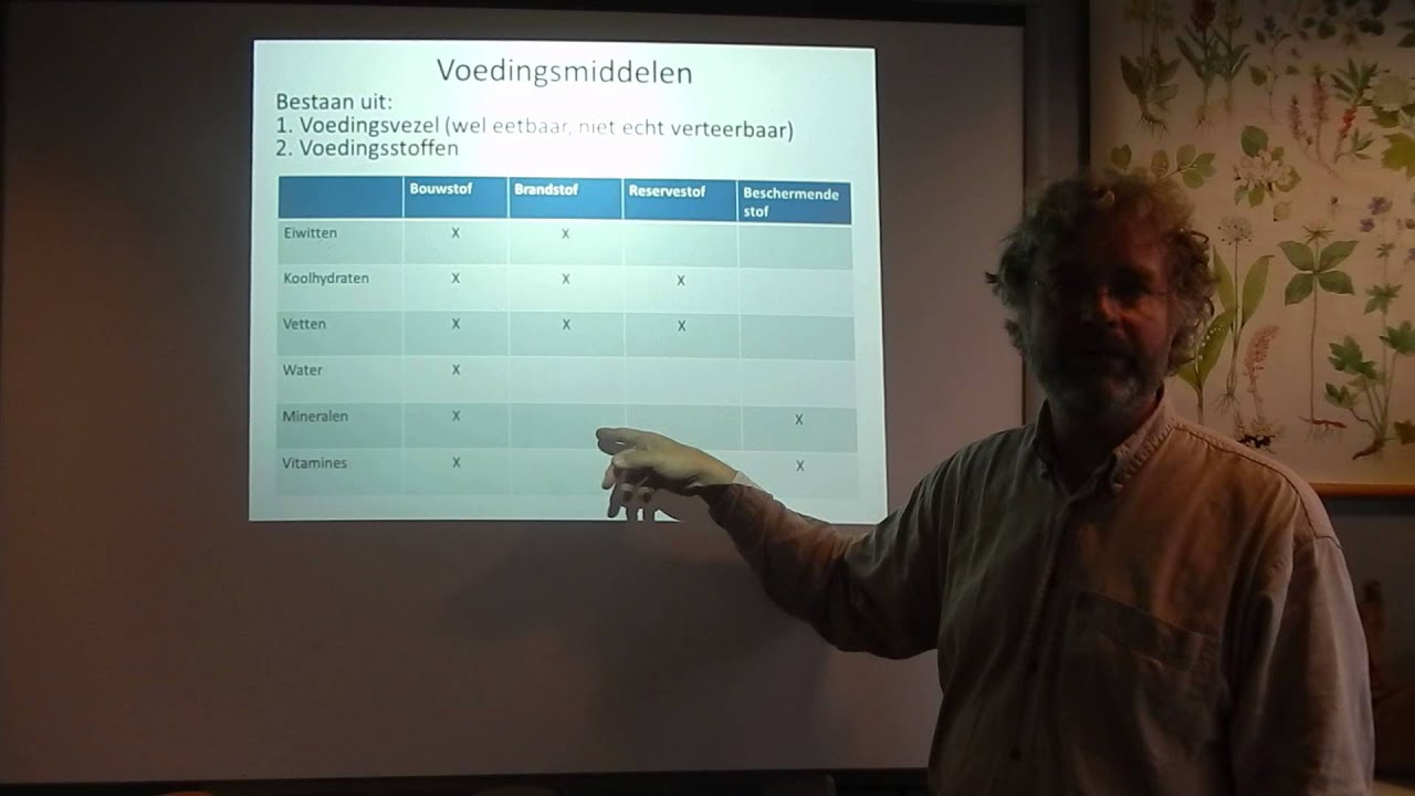 Biologie HV OB Xtra Voedingsmiddelen en Voedingsstoffen Samenvatting en verdieping
