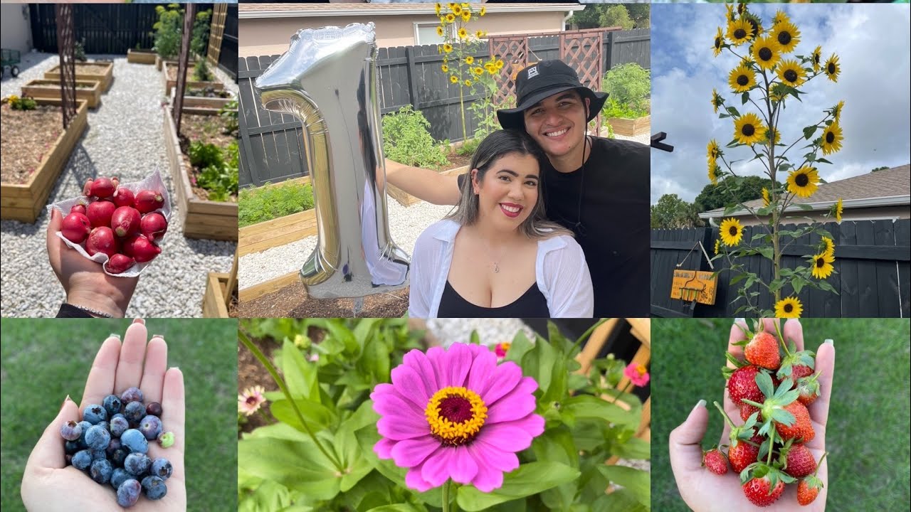 OUR DIY BACKYARD GARDEN TOUR | SPRING 2022 ORGANIC PLANTING