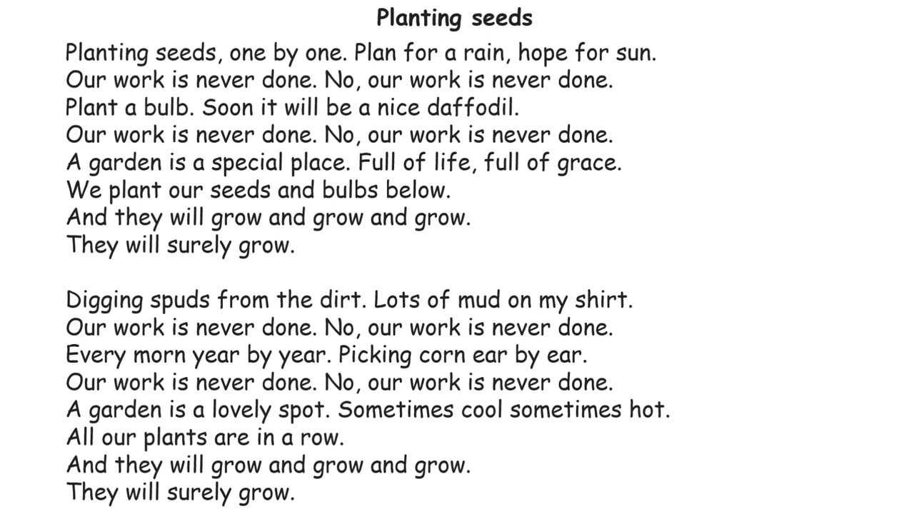 3rd grade - planting seeds ￼