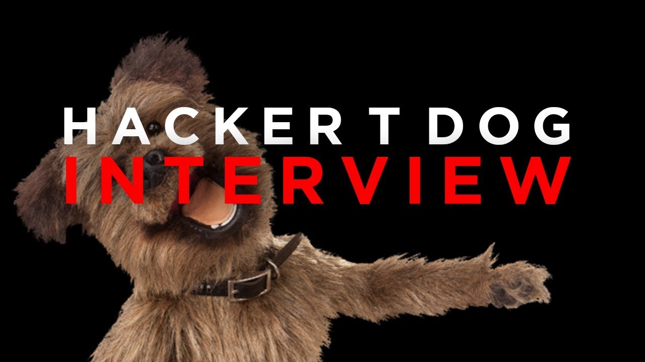 Hacker T Dog Interview - Muppets and Puppets