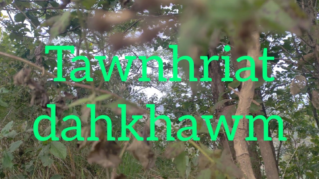 Kawlkulh leh Khawzawl inkara Truck Driver thiltawn mak leh A taka thiltawn ngaihnawm dang te (P-1)