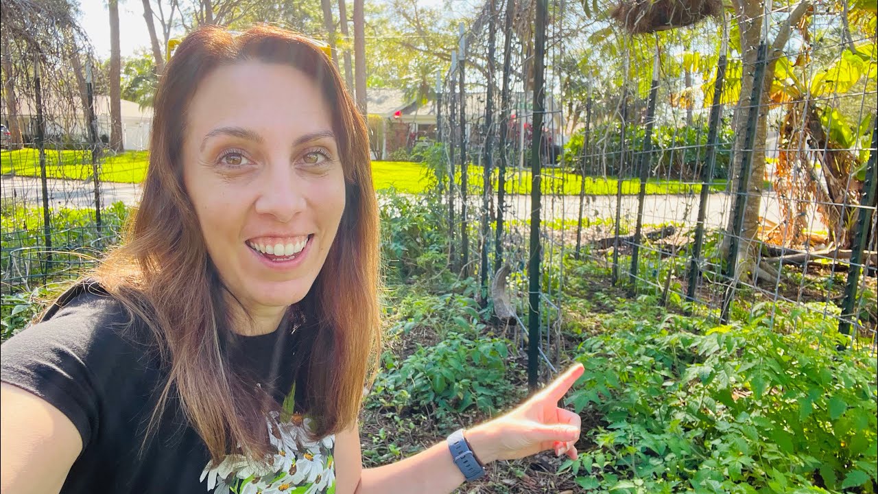 Racing the Sun: Get Spring Garden Cleanup Done Before it's Too Late!