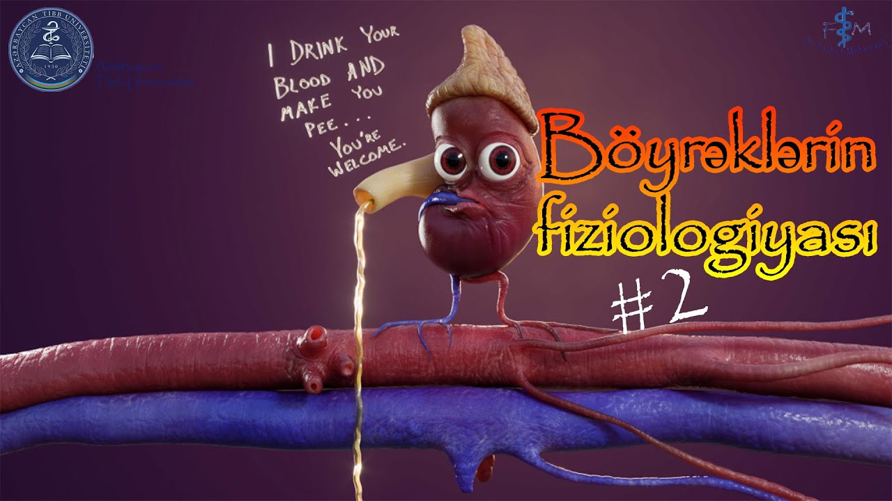 Glykosurie. Glukozanin proksimal borudan geri reabsorbsiyasi (sorulmasi)
